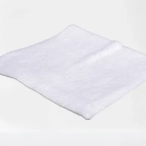 Dirt Devil Secondary Filter Fits SECONDARY-DIRT DEVIL SD30040 TATTOO OEM 1SD1116000